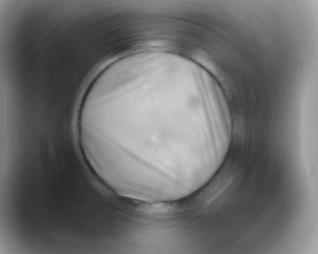 X0000088061474200706081639