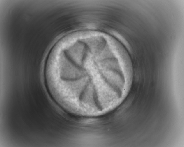 X0000088061475200706081639