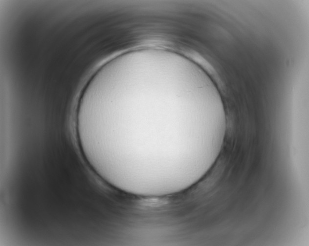 X0000088061478200706081639