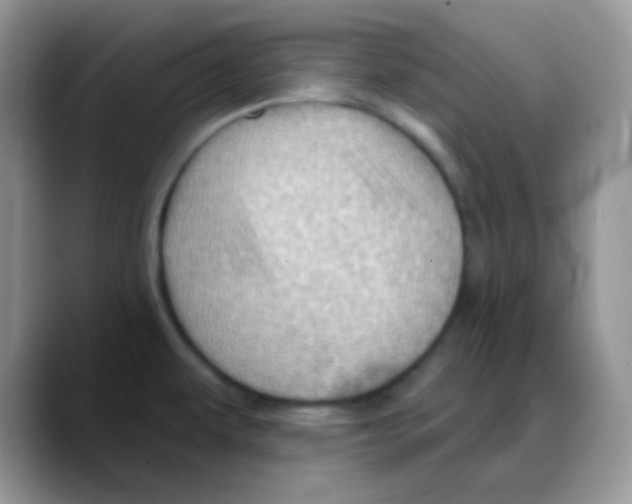 X0000088061479200706081639