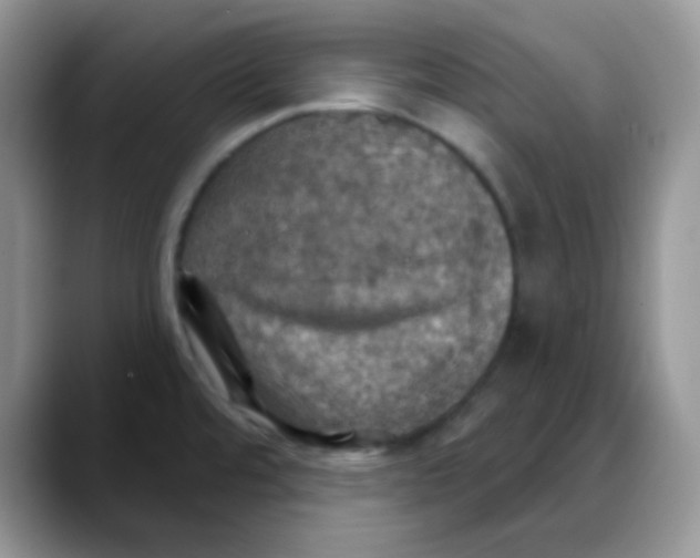 X0000088061480200706081639