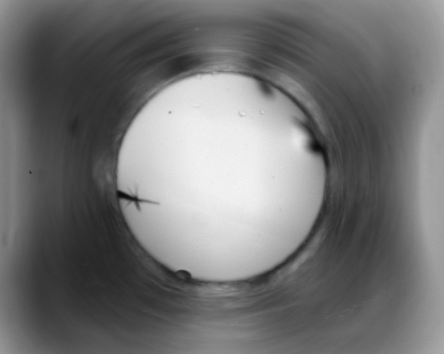 X0000088061481200706081639