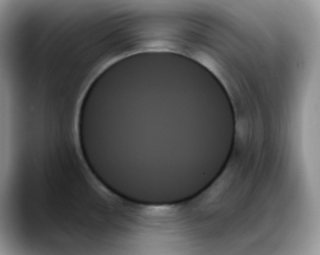 X0000088061482200706081639