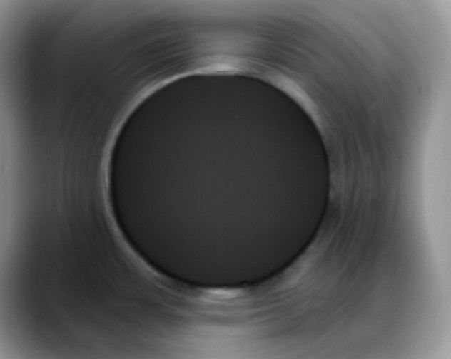 X0000088061483200706081639