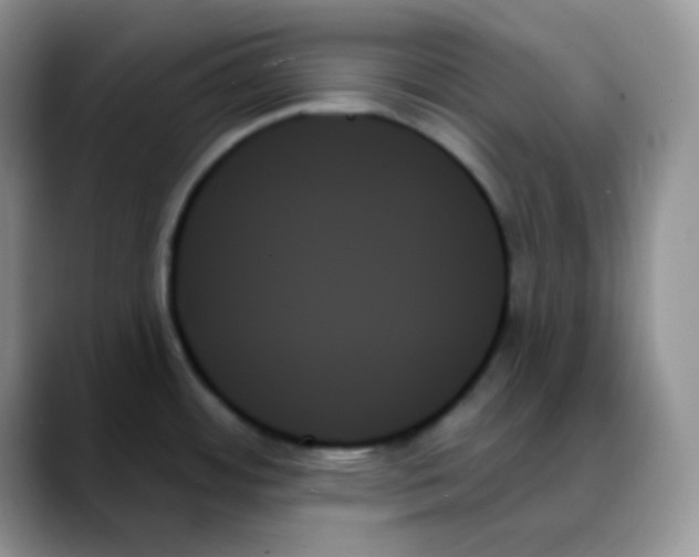 X0000088061484200706081639