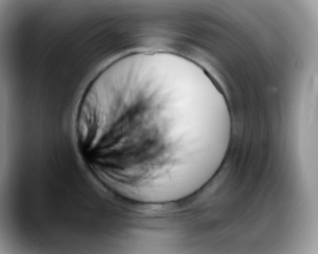 X0000088061485200706081639