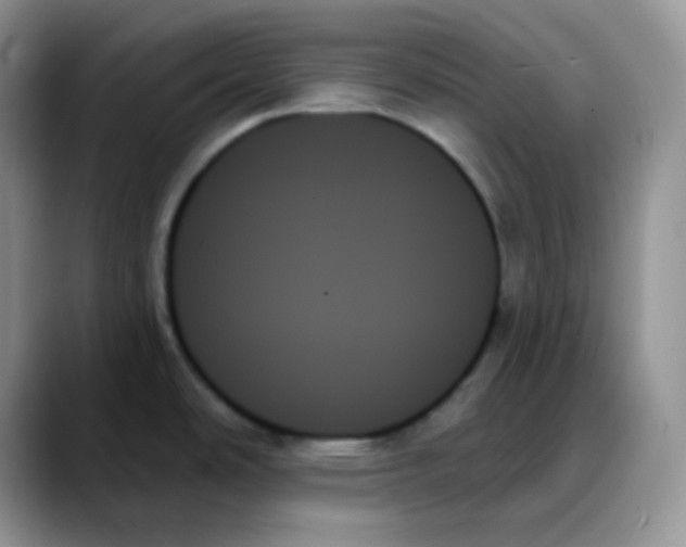 X0000088061486200706081639