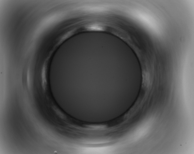 X0000088061487200706081639