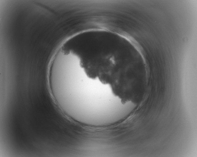X0000088061488200706081639