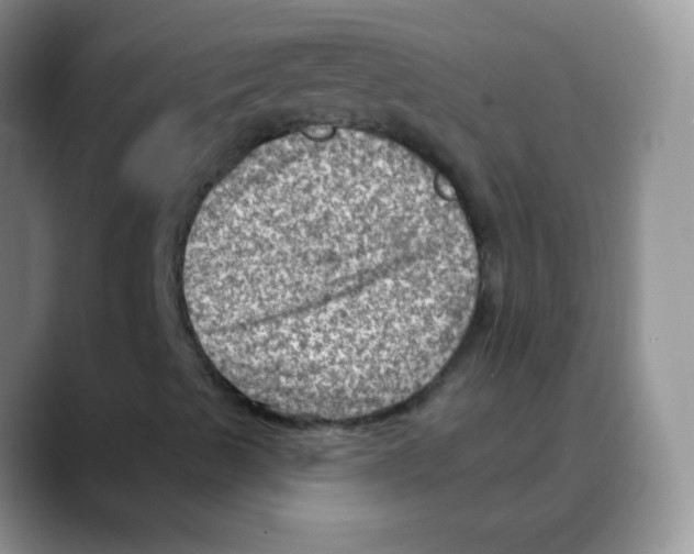X0000088061489200706081639