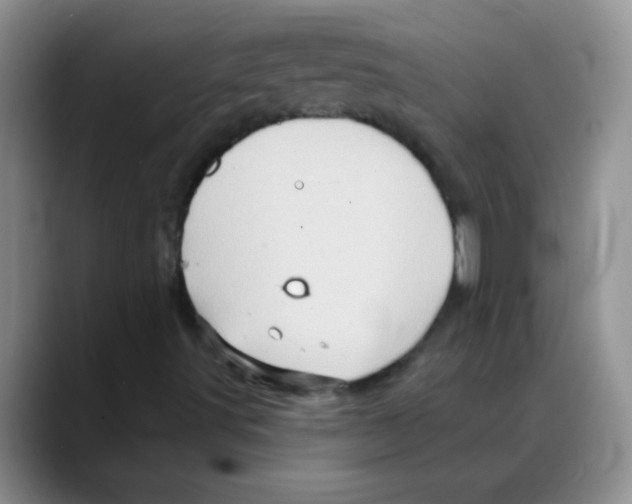 X0000088061491200706081639