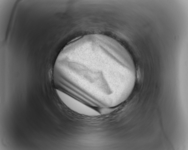 X0000088061492200706081639
