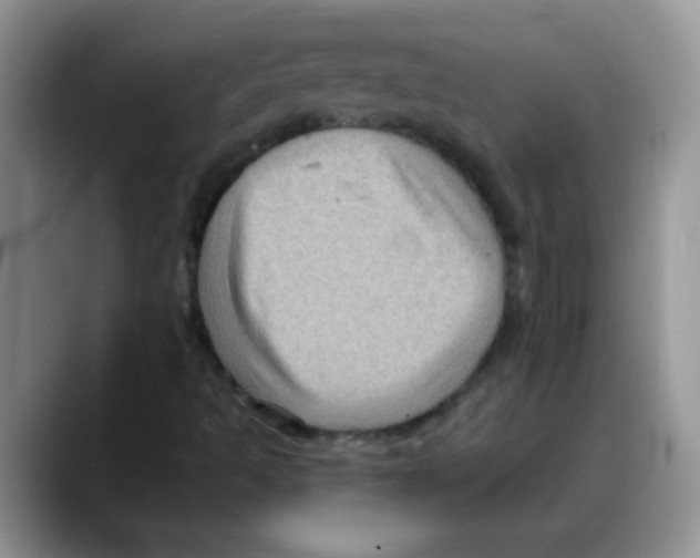 X0000088061493200706081639