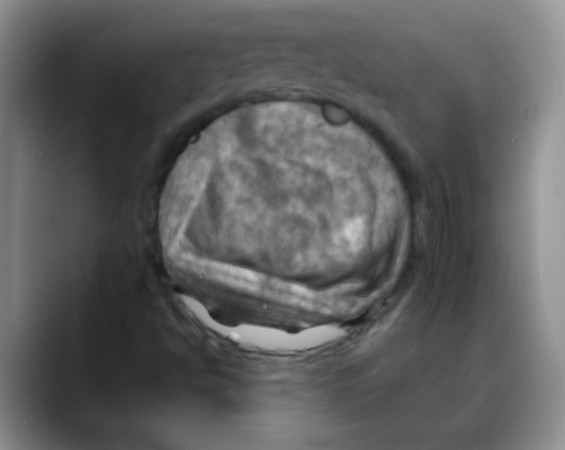 X0000088061494200706081639