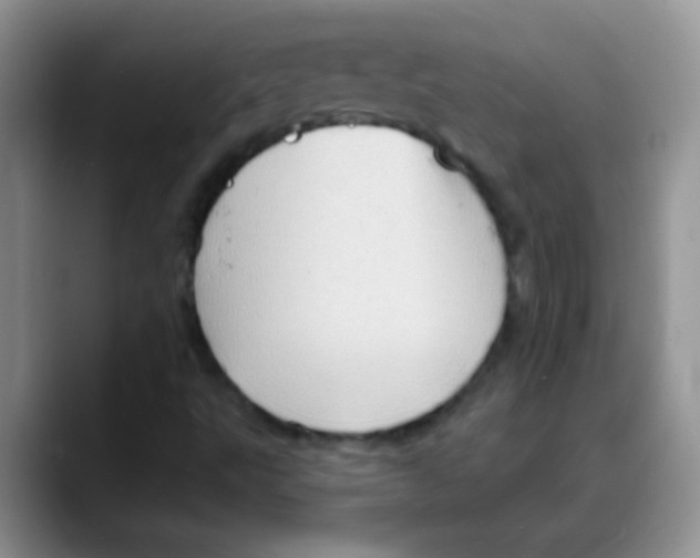 X0000088061495200706081639