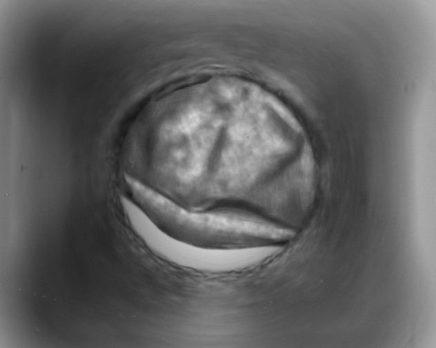 X0000088061496200706081639