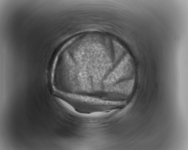X0000088061497200706081639