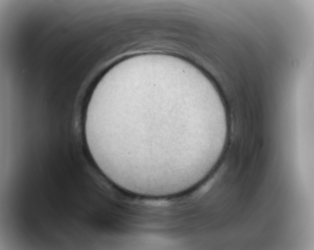 X0000088061498200706081639
