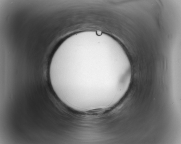 X0000088061499200706081639