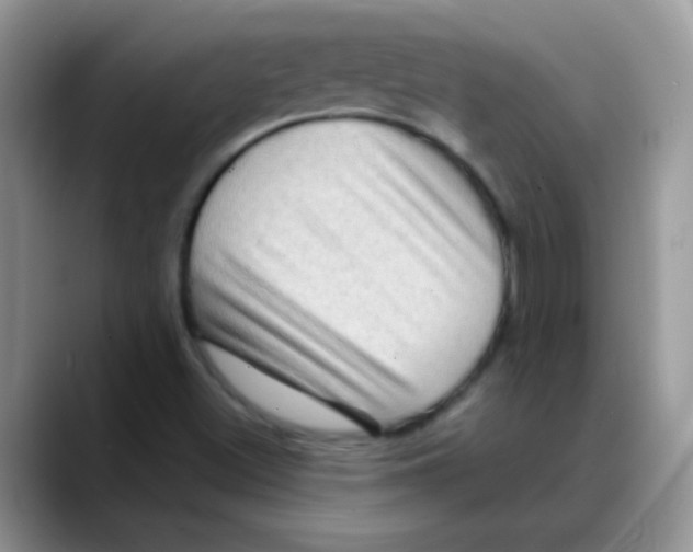X0000088061500200706081639