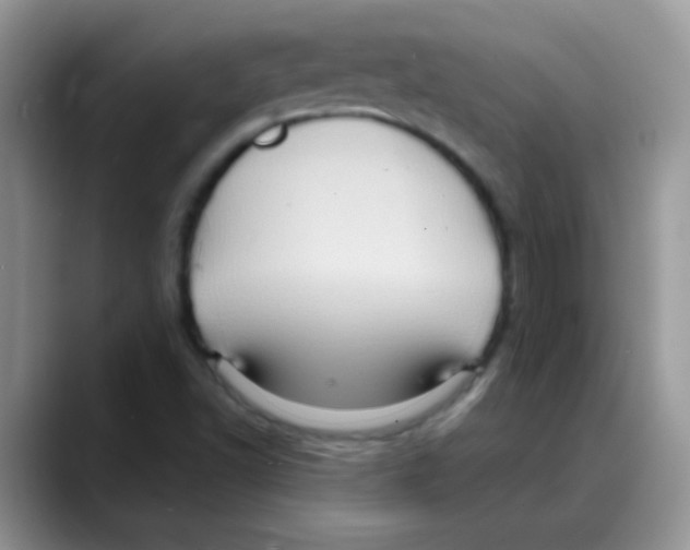 X0000088061502200706081639