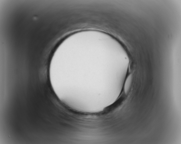 X0000088061503200706081639