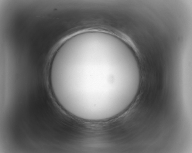 X0000088061504200706081639