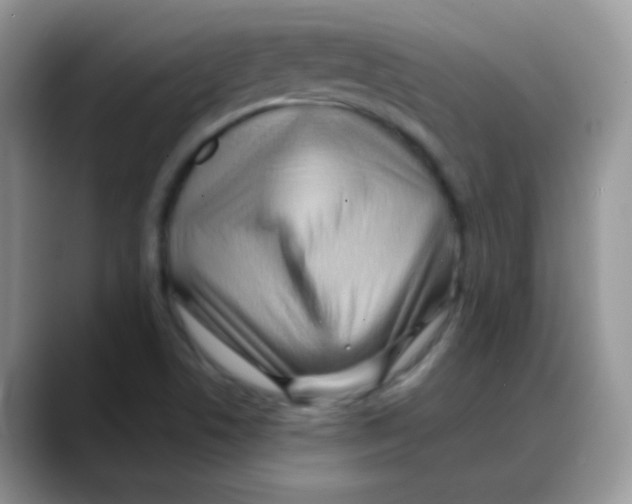 X0000088061506200706081639