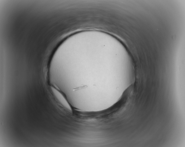 X0000088061507200706081639