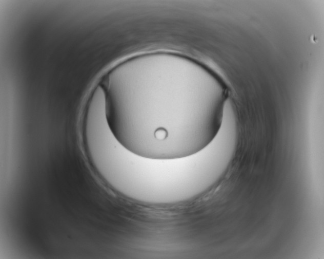 X0000088061508200706081639