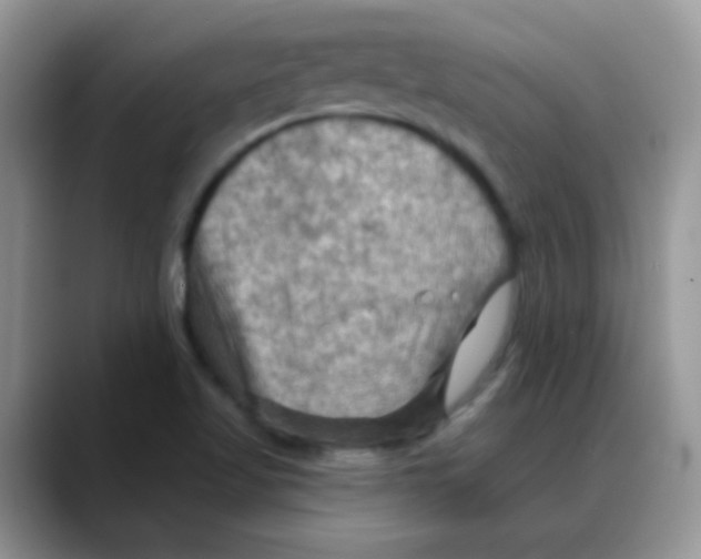 X0000088061509200706081639