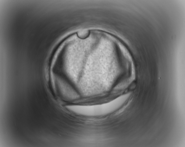 X0000088061510200706081639