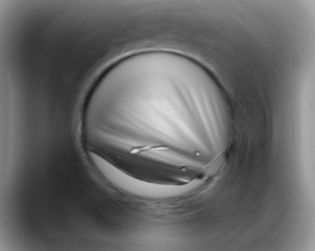 X0000088061511200706081639