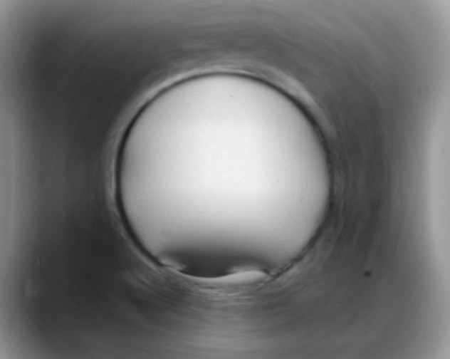 X0000088061512200706081639