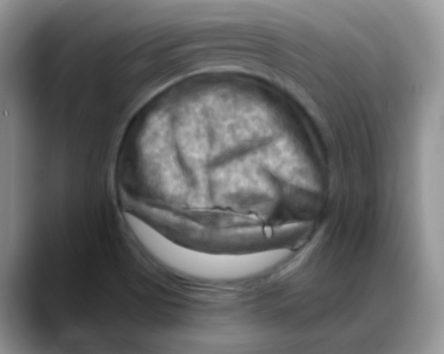 X0000088061513200706081639