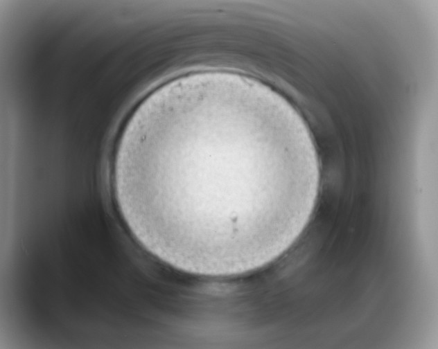 X0000088061514200706081639