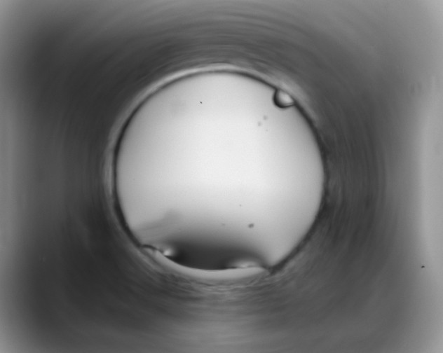 X0000088061516200706081639