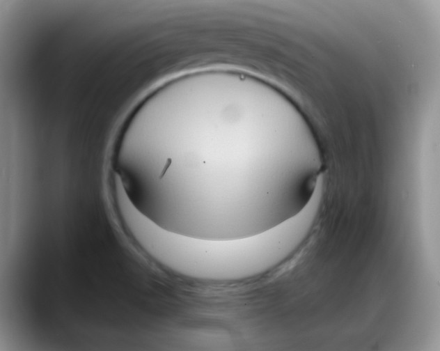 X0000088061518200706081639