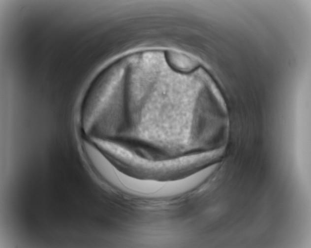X0000088061519200706081639