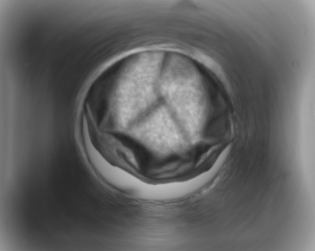 X0000088061520200706081639