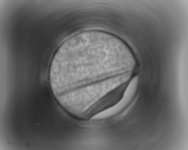 X0000088061521200706081639