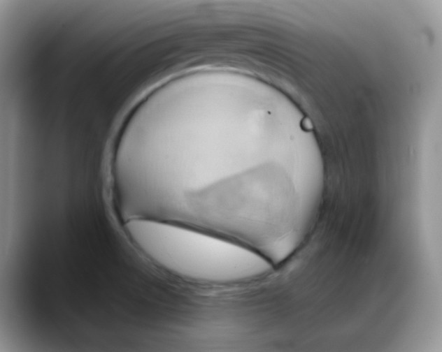 X0000088061522200706081639