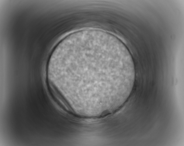 X0000088061523200706081639