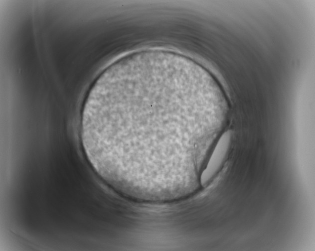 X0000088061525200706081639