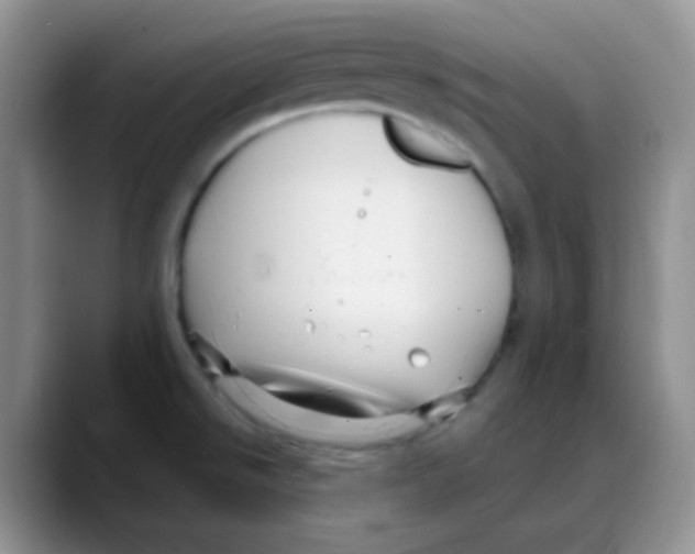 X0000088061526200706081639