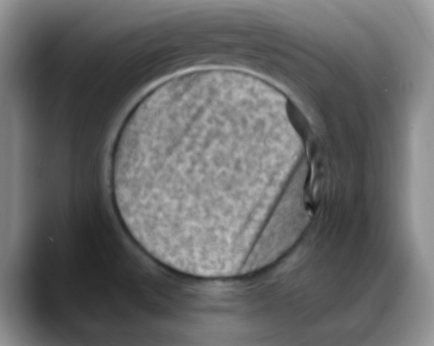 X0000088061527200706081639