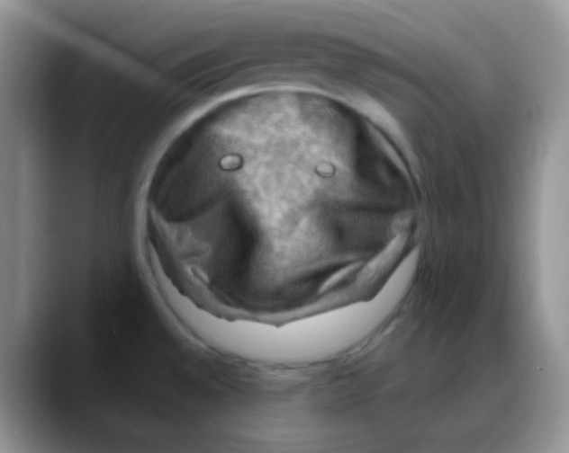 X0000088061528200706081639