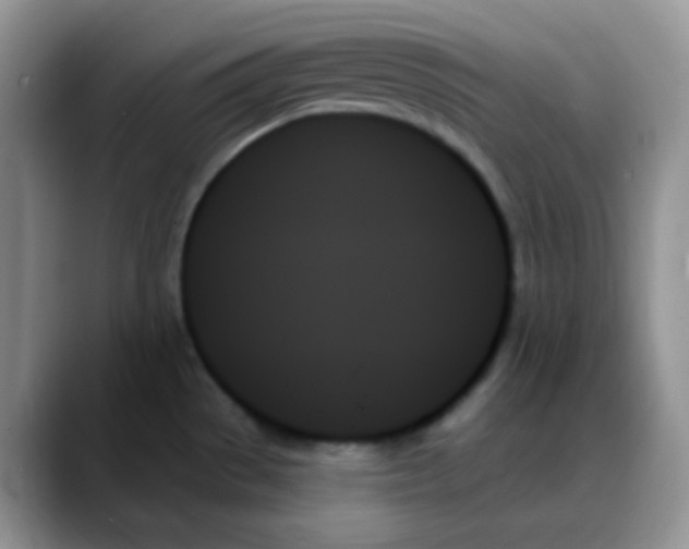 X0000088061529200706081639
