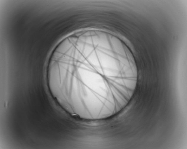 X0000088061530200706081639