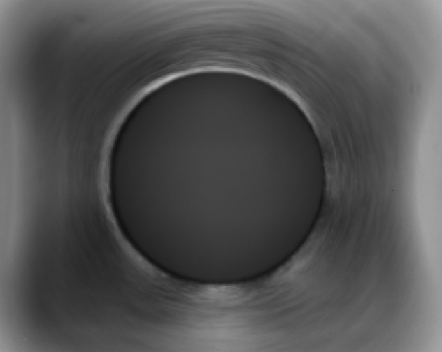 X0000088061531200706081639
